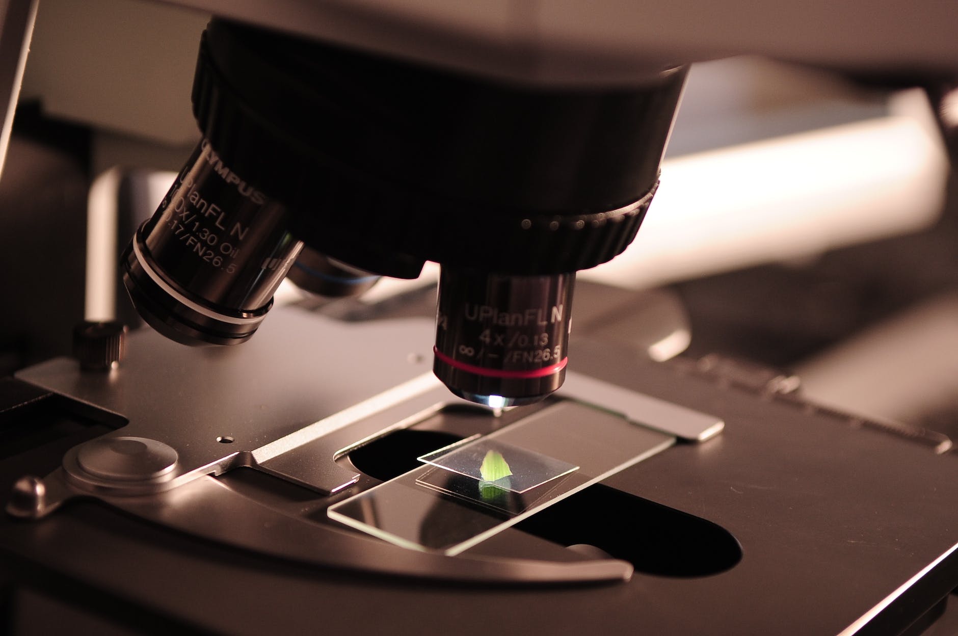 Integrated Laboratory for Quantum Materials and Devices
